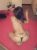 Kayseri Escort Yeni Sınırsız Cansu - Görsel1